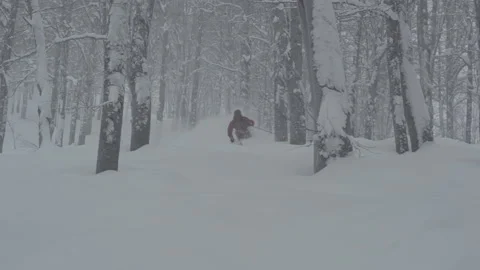 Slow Motion Skier in Deep Powder Stock Footage 165624408