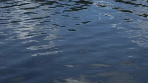 Slow Motion Sky Reflected in River – Peaceful Nature Surface Stock Footage 308397861