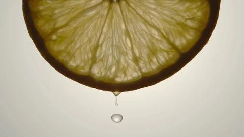 SLOW MOTION: Slice Of Orange With Falling Drops Stock-Footage 117024344