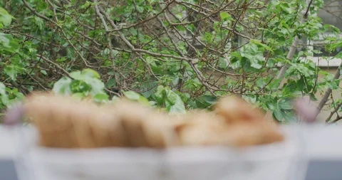  Slow motion sliced breads on breakfast table with green background. Stock Footage 91010129