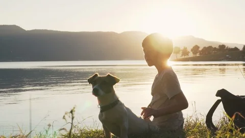 Slow motion slide of a boy sitting on a lake shore with his dog Jack Russell Stock Footage 97394678