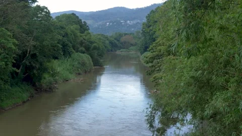 Slow motion SLR landscape view of Mahaweli Ganga Kandy river water stream Stock Footage 273665923