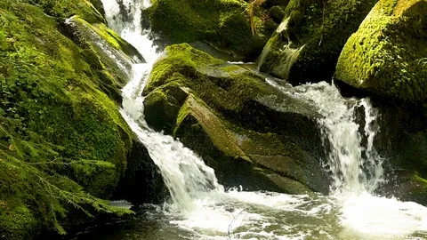 Slow motion of a small cascade waterfall in the Black Forest Stock Footage 128711635