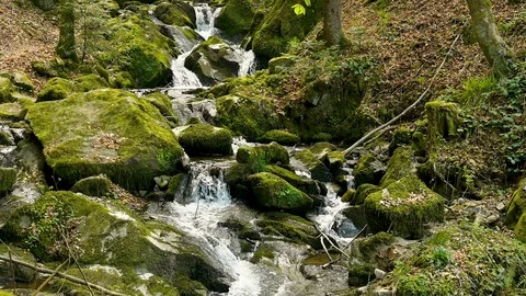 Slow motion of a small cascade waterfall in the Black Forest Stock Footage 128711871