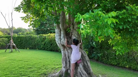 Slow motion small child climbing on tree at park in summer. Stockbeeldmateriaal 277491775