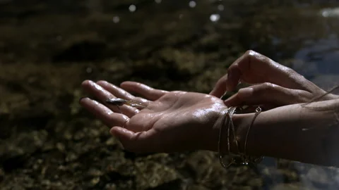 Slow Motion of a Small Frog Leaping out of Someone's Hands Into a River Stock Footage 270325762