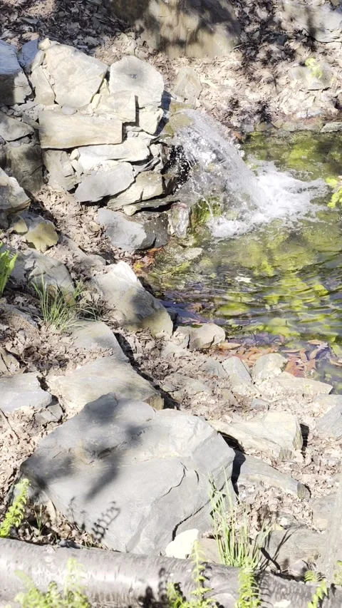 Slow Motion Small Garden Waterfall Rocks Pool 4K HDR vertical Stock-Footage 333626976
