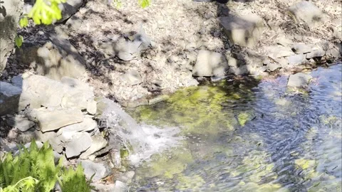 Slow Motion Small Garden Waterfall Rocks Pool 4K HDR 스톡 동영상 333626977