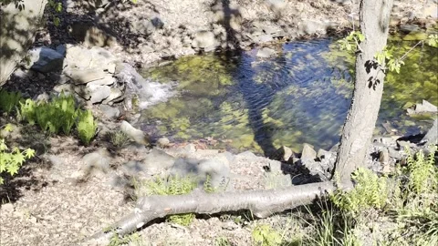 Slow Motion Small Garden Waterfall Rocks Pool 4K Stock Footage 333627116