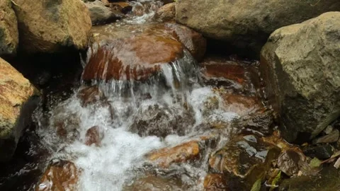 Slow motion of a small mountain river flowing clear in the rocks Stock-Footage 307409752
