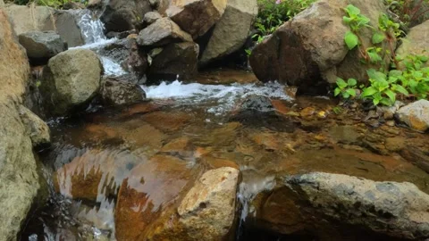 Slow motion of a small mountain river flowing clear in the rocks Video stock 307409829