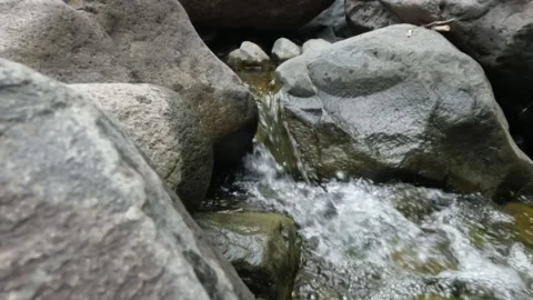 Slow motion of a small mountain river flowing through rocks Stock Footage 321320259