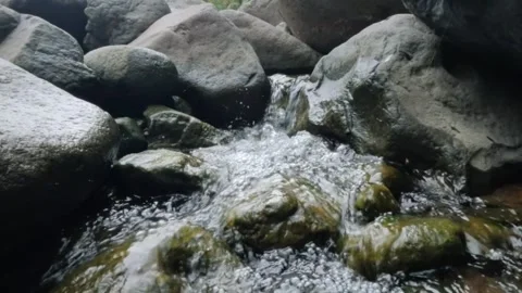 Slow motion of a small mountain river flowing through rocks Stock Footage 321320260