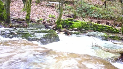 Slow motion of a small river in a beautiful landscape. Stockbeeldmateriaal 258591497