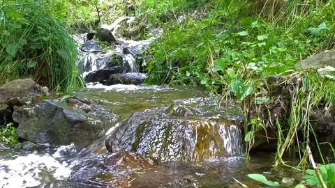 Slow motion of small river Stock Footage 103530387