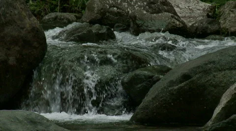 Slow motion of a small river rapid between some rocks Stock Footage 555762