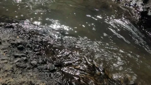 Slow motion of a small river in the rocky mountains flowing gently Stock Footage 319876372