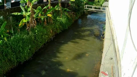 Slow motion of small river water flow Video stock 242524899