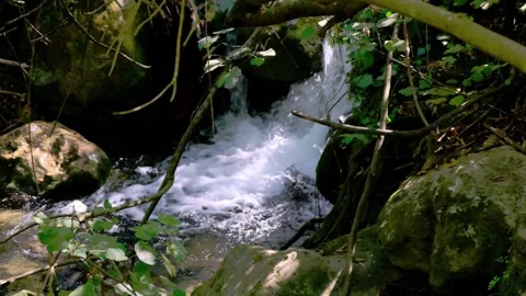 Slow motion of a small river waterfall in nature Stock Footage