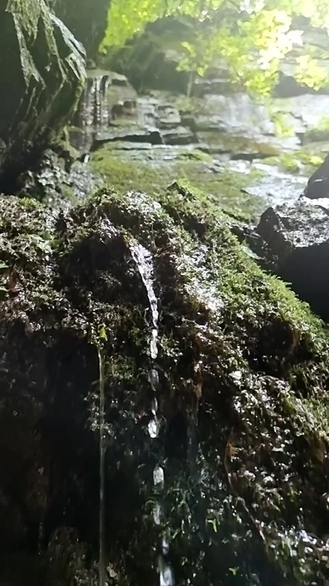 Slow Motion Small Water Stream Flowing Down a Mossy Cliff Stock Footage 328297912