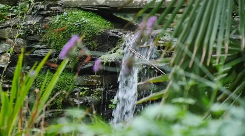 Slow motion small waterfall in country stream 96fps Stock Footage 43176663