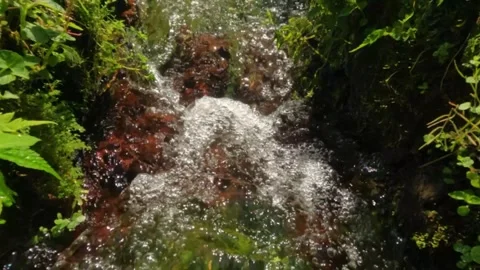 Slow motion of a small waterfall in a creek filled with green grass Stock-Footage 320103298