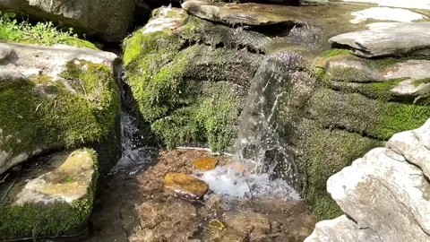 Slow Motion Small Waterfall with Mossy Rocks Видео 196942742