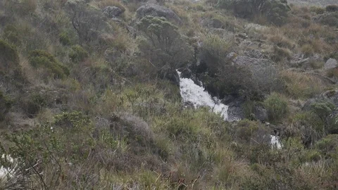 Slow motion small waterfall in paramo zone Vídeo Stock 123450338