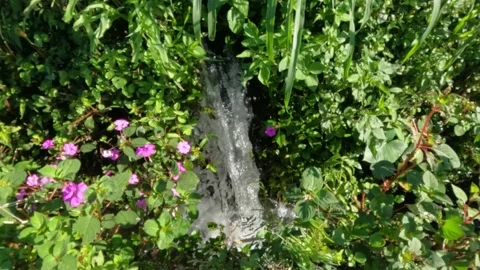 Slow motion of a small waterfall passing through green grass Stock Footage 320057781