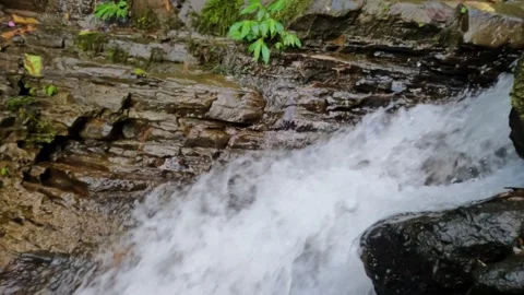 Slow motion small waterfall small mountain river overgrown with grass Stock Footage 319879577