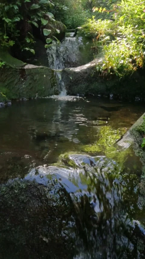 Slow motion of a small waterfall in a tropical forest that flows clearly Stock Footage 320029477