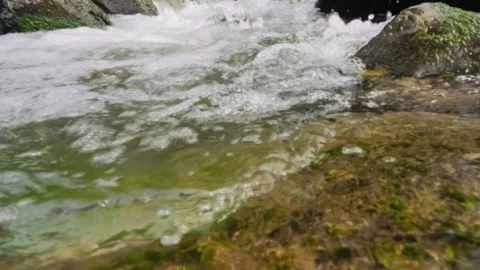 Slow motion of small waves on the edge of a clear mountain river Video stock 320921460