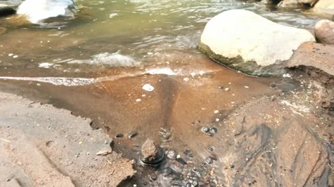 Slow motion small waves on the sandy edge of a mountain river Stock Footage 320981129