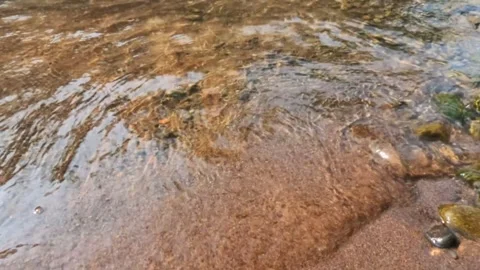 Slow motion of small waves on the sandy shore of a mountain river Stock Footage 320983032