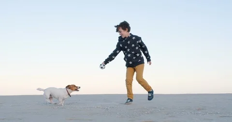 Slow motion smiling boy running sand sea, playing his dog Jack Russell Terrier Stock Footage 119379545
