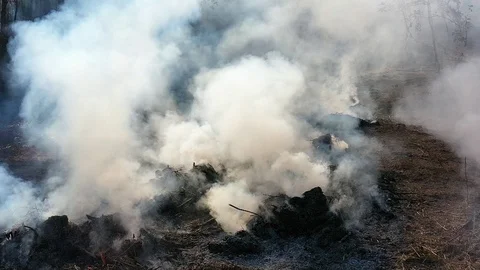 Slow motion smoke and fire Vídeos de archivo 124566465
