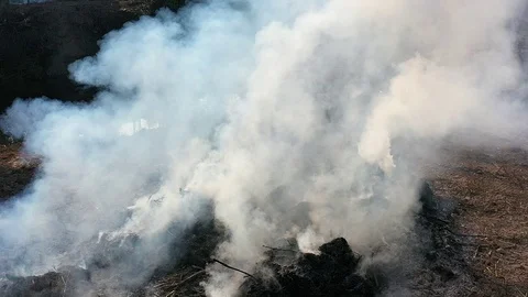Slow motion smoke rising Stock Footage 123687291