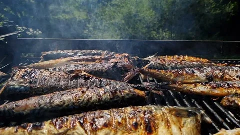 Slow motion of smoking fish over barbecue Video stock 160888524