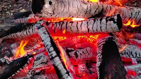 Slow Motion of Smoldering Campfire Logs 库存影片 342162144