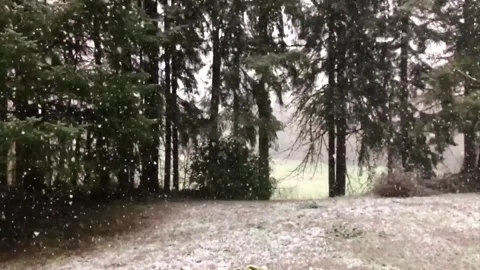 Slow Motion Snow 1 Stock Footage 260504242