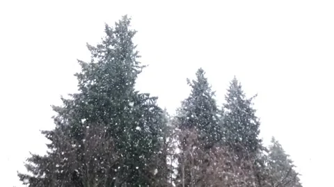 Slow Motion Snow 2 Stock Footage 260504241