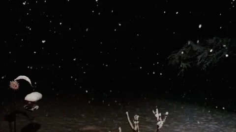 Slow Motion Snow 3 Stock Footage 264994161