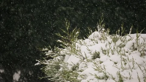 Slow motion snow blizzard Winter weather Staffordshire England December 2017 Stock Footage 83308665
