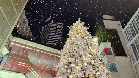 Slow Motion Of 'Snow' Decoration Falling Around A Christmas Tree Stock Footage 167501012