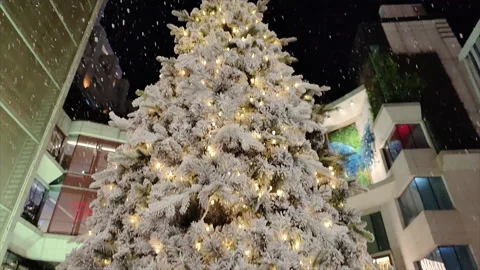 Slow Motion Of 'Snow' Decoration Falling Around A Christmas Tree Stock Footage 167502567