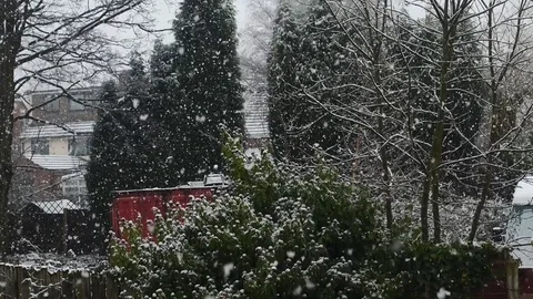 Slow Motion Snow Fall Stock Footage 85028453