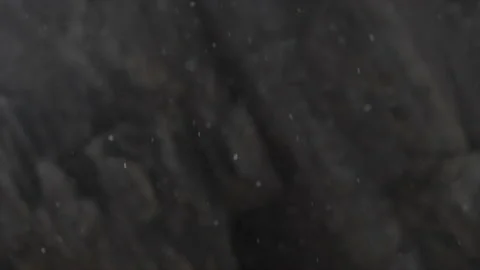 Slow motion snow fall Stock Footage 140123916