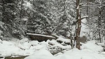 Slow motion snow fall over mountain creek Stock Footage 85701240