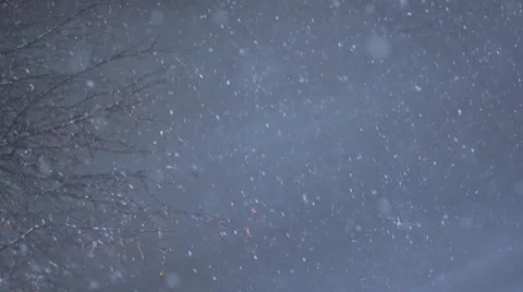 Slow motion of snow fall winter Stock Footage 25039452