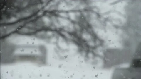 Slow motion snow falling 240fps to 24 fs700 動画素材 220692669